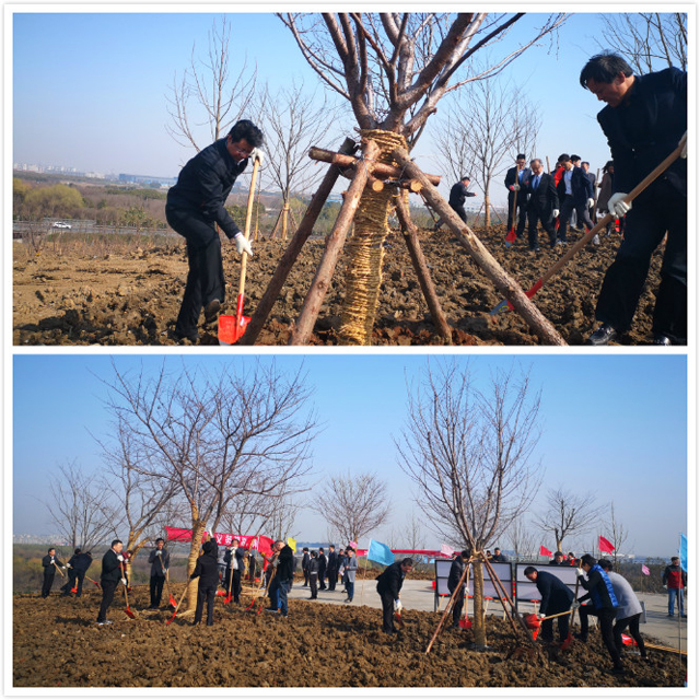 C:\Users\Administrator\Desktop\植樹(shù)1.jpg C:\Users\Administrator\Desktop\植樹(shù)1.jpg