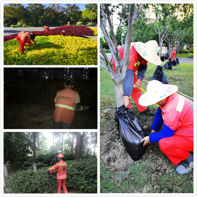 F:\2圖片\宣傳\2020高溫慰問\養(yǎng)護拼圖.jpg F:\2圖片\宣傳\2020高溫慰問\養(yǎng)護拼圖.jpg